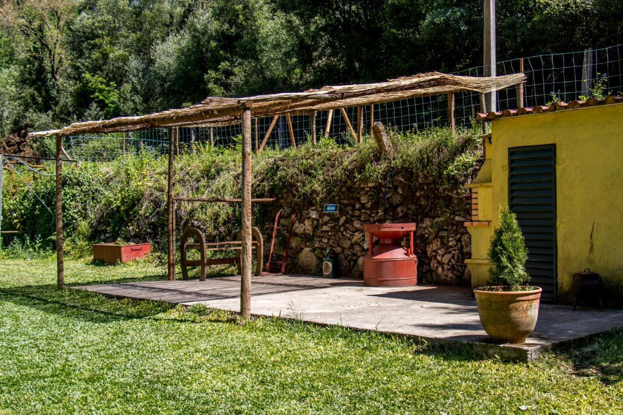 Casa Do Lagareiro Ponte de Lima